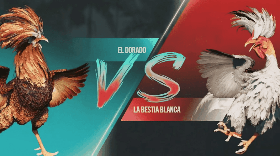 slotjogo